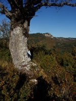 Zorokietako gailurra, atzean Santa Kruz