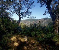 Kurkuxuloko gailurra