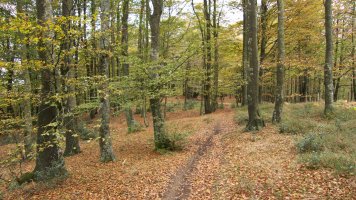 GR20 bidea Ekialdeko bizkarrean