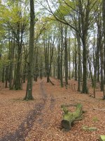 GR20 bidea Argoniz inguruetan