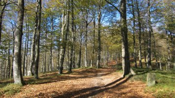 GR20 bidea Ekialdean