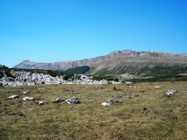 Balsa Fria 2 harrespila