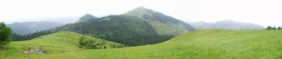 Hego-ekialdetik ikusita