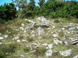 Larrolako trikuharria