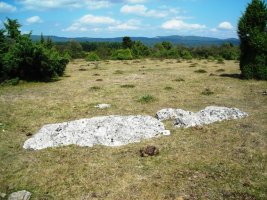 Las Campanas zutarria