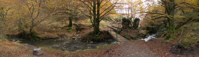 Lizarrusti eta Lareo arteko bideko pasarte bat