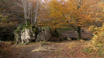 Lizarrusti eta Lareo arteko bideko pasarte bat