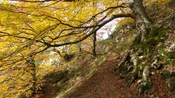 Lizarrusti eta Lareo arteko bideko pasarte bat