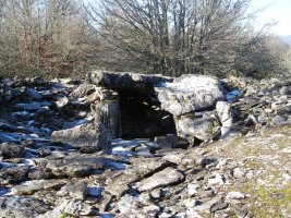 Artekosaro trikuharria