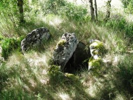 Puente de Bigüezal trikuharria
