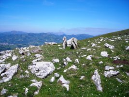 Aranzadi trikuharria