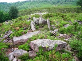 Urriki 2 mendebalde trikuharria