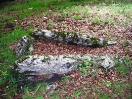 Angaitza trikuharria