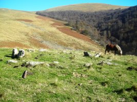 Apatesaro hego I harrespila