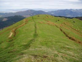 Lubakiak ekialdeko bizkarrean