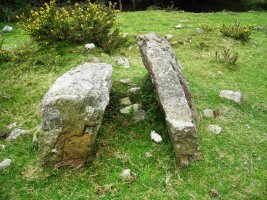 Odiego 1 ipar trikuharria