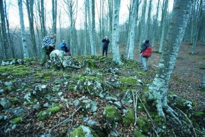 Ansaretako Zaparra trikuharria