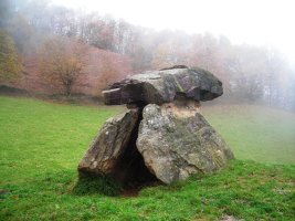 Mairuetxea  trikuharria