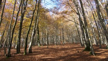 Irumugetako Hegoaldeko hegian gora