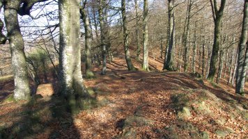 Irumugetatik Txaradigorrira abiatzen