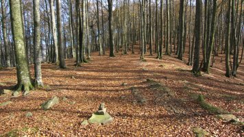 Txaradigorrira gerturatzen Mendebaldeko bizkarretik