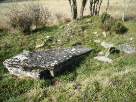 Gurpide ipar trikuharria