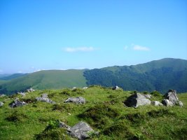 Lekendiko gaña 1 harrespila