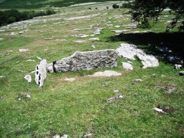 Saguain 1 trikuharria