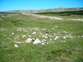 Ikomarko Sakana tumulua