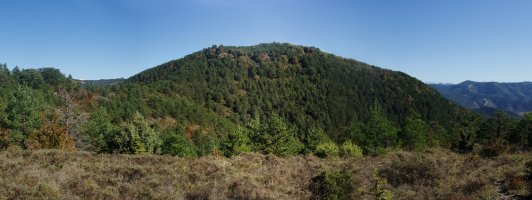 Oihanburua Orlagatu aldetik ikusita