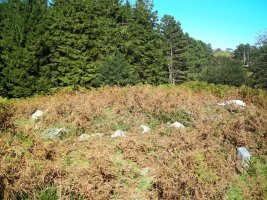 Elutxo Arria harrespila