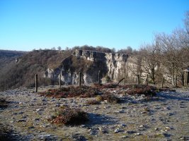 Ubaba tumulo de anillo