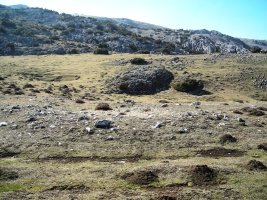 Balsa Fría trikuharria