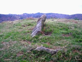 Atxiñar  trikuharria