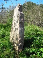 Txoritokieta zutarria