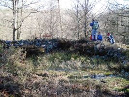 Loiketa 1 trikuharria