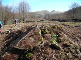 Loiketa  2 trikuharria