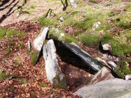 Loiketa  5  trikuharria