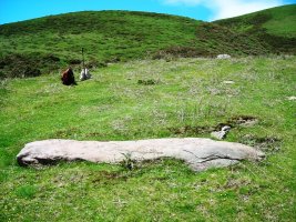 Luurzu hego zutarria