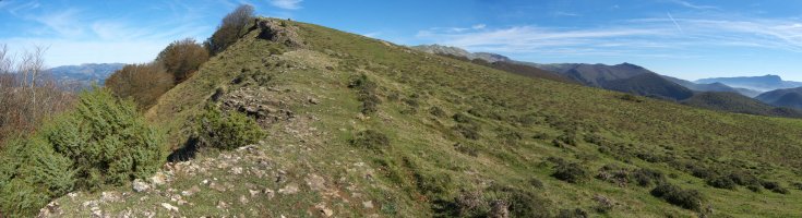 Tontorra HMko bizkarretik