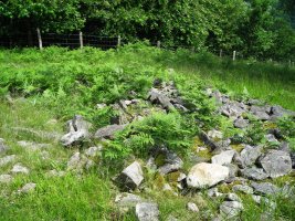 Sagastietako Lepua II trikuharria