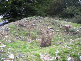 Goldanburu trikuharria