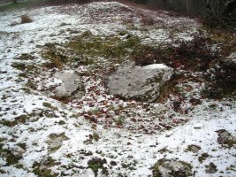 Sokillete trikuharria