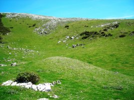 Urrusti I  fondo de cabaña
