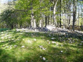 Irutzulo Txikita trikuharria