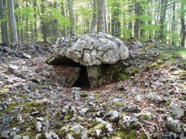 Soiltxiki trikuharria