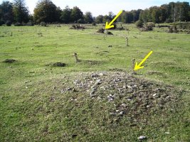Balsas del Corral de Narciso campo tumular