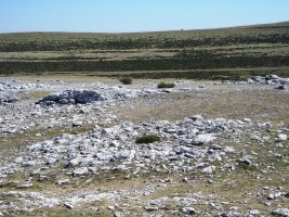 Aitz Txuri trikuharria