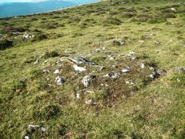 Iturmendiko Portua 2 tumulua