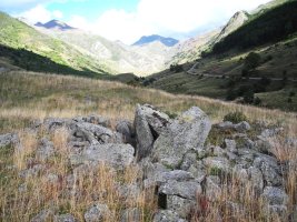 Barranco del Arroyo trikuharria